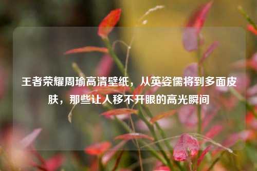 王者荣耀周瑜高清壁纸,从英姿儒将到多面皮肤,那些让人移不开眼的高光瞬间