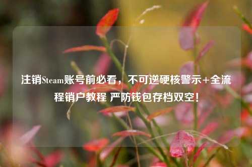 注销Steam账号前必看,不可逆硬核警示+全流程销户教程 严防钱包存档双空!