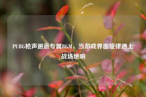 PUBG枪声邂逅专属BGM,当游戏界面旋律遇上战场绝响
