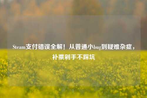 Steam支付错误全解!从普通小bug到疑难杂症,补票剁手不踩坑