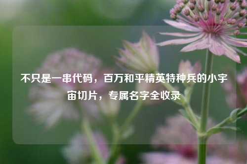 不只是一串代码,百万和平精英特种兵的小宇宙切片,专属名字全收录