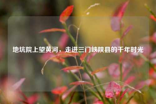 地坑院上望黄河,走进三门峡陕县的千年时光
