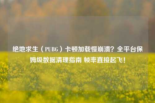 绝地求生(PUBG)卡顿加载慢崩溃?全平台保姆级数据清理指南 帧率直接起飞!
