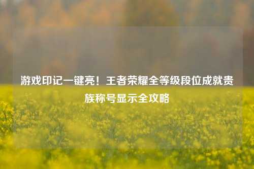 游戏印记一键亮!王者荣耀全等级段位成就贵族称号显示全攻略