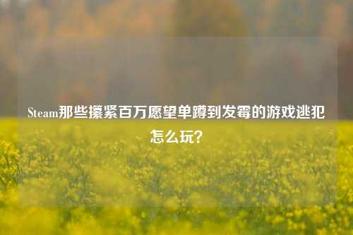 Steam那些攥紧百万愿望单蹲到发霉的游戏逃犯怎么玩?