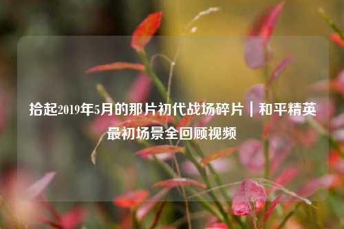 拾起2019年5月的那片初代战场碎片|和平精英最初场景全回顾视频