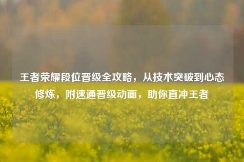 王者荣耀段位晋级全攻略，从技术突破到心态修炼，附速通晋级动画，助你直冲王者