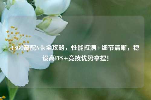 CSGO高配N卡全攻略,性能拉满+细节清晰,稳设高FPS+竞技优势拿捏!