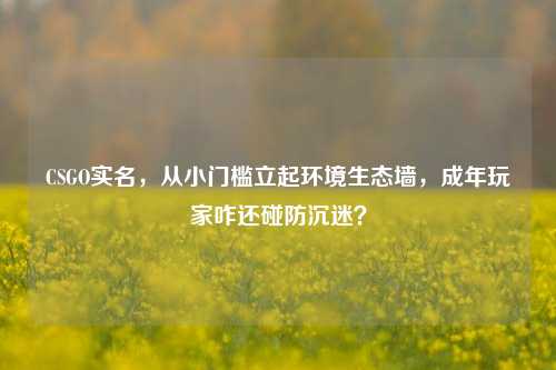 CSGO实名,从小门槛立起环境生态墙,成年玩家咋还碰防沉迷?