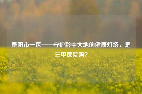 贵阳市一医——守护黔中大地的健康灯塔,是三甲医院吗?