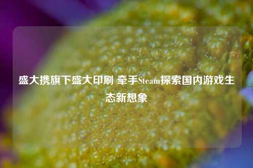 盛大携旗下盛大印刷 牵手Steam探索国内游戏生态新想象