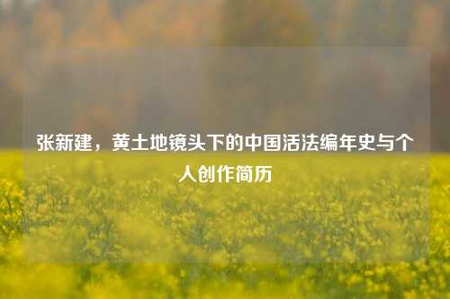 张新建,黄土地镜头下的中国活法编年史与个人创作简历