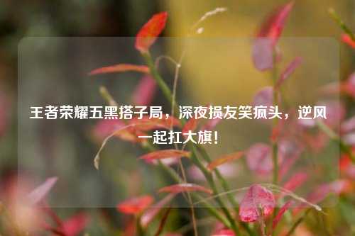 王者荣耀五黑搭子局,深夜损友笑疯头,逆风一起扛大旗!