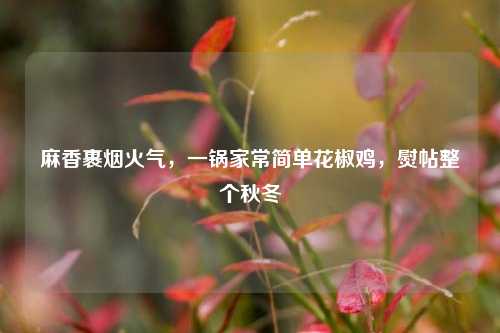 麻香裹烟火气,一锅家常简单花椒鸡,熨帖整个秋冬