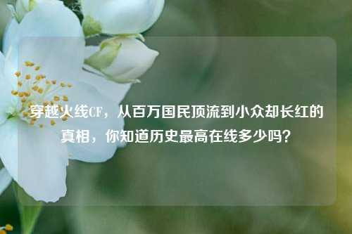 穿越火线CF，从百万国民顶流到小众却长红的真相，你知道历史最高在线多少吗？