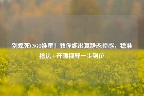 别焊死CSGO准星！教你练出真静态控感，稳准枪法+开阔视野一步到位