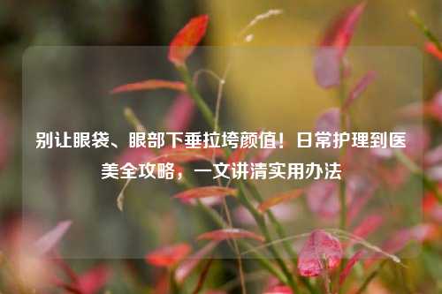 别让眼袋、眼部下垂拉垮颜值!日常护理到医美全攻略,一文讲清实用办法