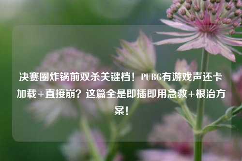 决赛圈炸锅前双杀关键档！PUBG有游戏声还卡加载+直接崩？这篇全是即插即用急救+根治方案！