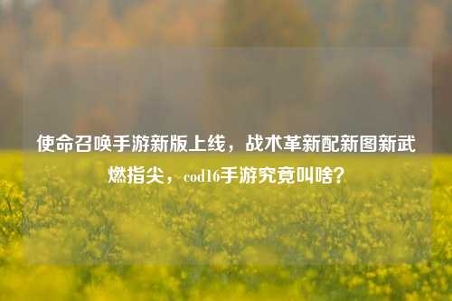 使命召唤手游新版上线,战术革新配新图新武燃指尖,cod16手游究竟叫啥?