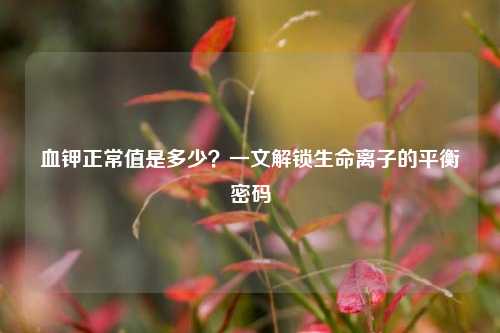 血钾正常值是多少?一文解锁生命离子的平衡密码