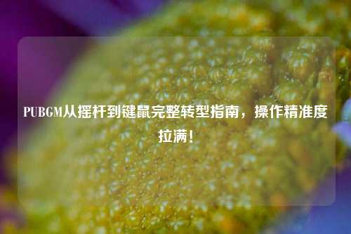 PUBGM从摇杆到键鼠完整转型指南,操作精准度拉满!