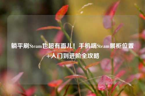 躺平刷Steam也超有面儿!手机端Steam展柜位置+入门到进阶全攻略