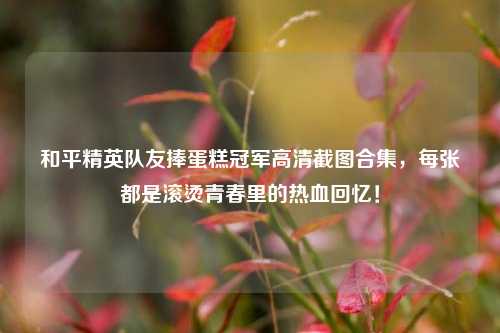 和平精英队友捧蛋糕冠军高清截图合集，每张都是滚烫青春里的热血回忆！