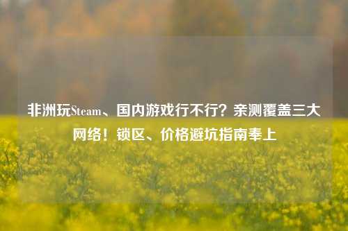 非洲玩Steam、国内游戏行不行?亲测覆盖三大网络!锁区、价格避坑指南奉上